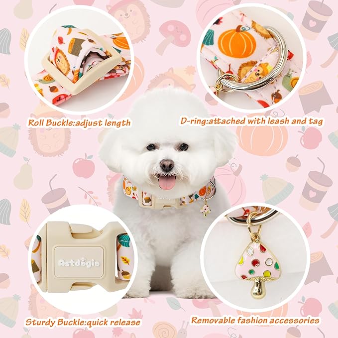 Fall Woodland Dog Collar, Playful Squirrel & Pumpkin Print on White Collar for Small Medium Large Dogs, Breathable, Adjustable & Comfortable Puppy Collar for Fall Walks & Pet Photos-M