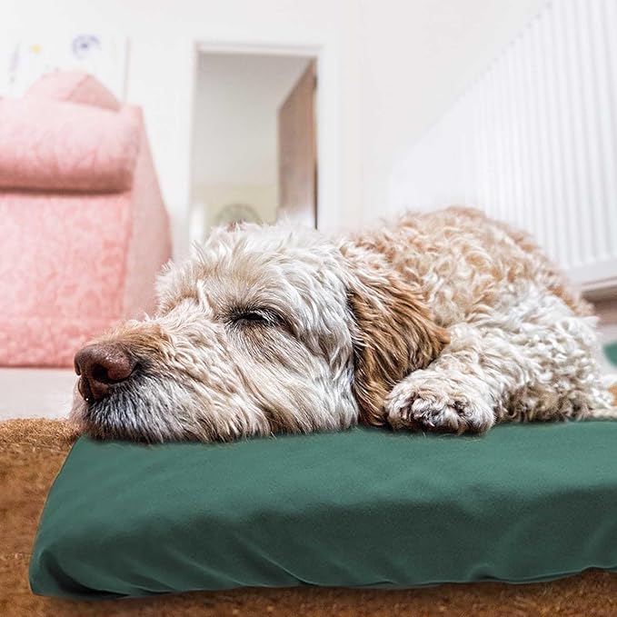 Dog Bed Cover Waterproof Replacement Machine Washable Covers for Dog Bed Heavy Duty Scratch Resistant Mattress Protector Pet Bed 36x27 Inch Dark Green Cover Only