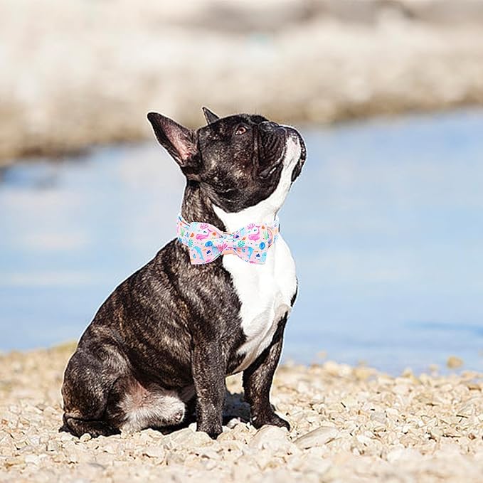 Lionheart glory Dog Bow Collar Sea Animals Print Pink Dog Collar for Small Dogs,Female Male Dog Collars with Bowtie Spring Summer Collars Soft Adjustable Pet Collar Bows