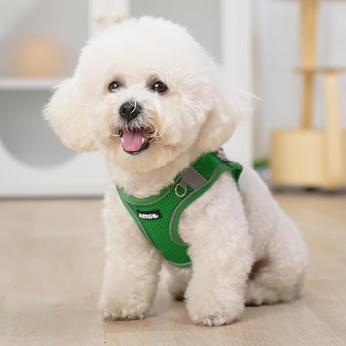 AIITLE Comfortable Dog Harness and Leash Set for Walking - Step in Vest Harness,Reflective Bands, Adjustable No Pull Puppy Essentials, for Small Dogs and House Cats Green XS