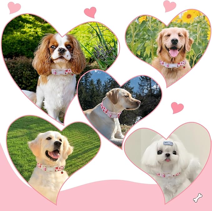 Strawberry Dog Collar, Cute Pink Dog Collars for Medium Dogs, Sweet Fresh Style Pet Collar Medium Dog Collars, Puppy Collar with Quick Release Buckle for Girl Boy Dog-M