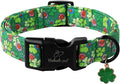St Patricks Day Dog Collar for Large Dogs - Lucky Flower Shamrock Green Dog Collars, Cute Irish Clover Puppy Collar with Quick Release Buckle for Girls&Boys Dogs L
