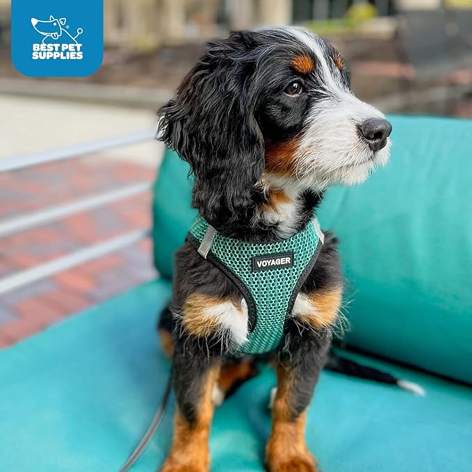 Best Pet Supplies - All Weather Mesh/Plush, Reflective, No Pull Harness for Small, Medium Dogs, Cats - Secure with Hook & Loop Fastener, Buckle, Double D-Rings - Turquoise 2-Tone, XS