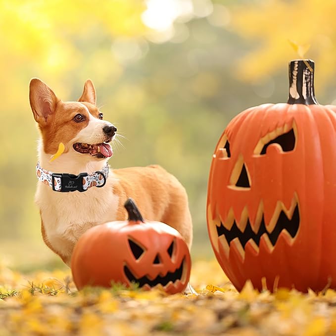 Fall Dog Collar, Cute Orange Pumpkin Pattern Puppy Collar, Soft Comfort Adjustable Holiday Thanksgiving Dog Collars for Small Medium Large Boy&Girl Dogs L