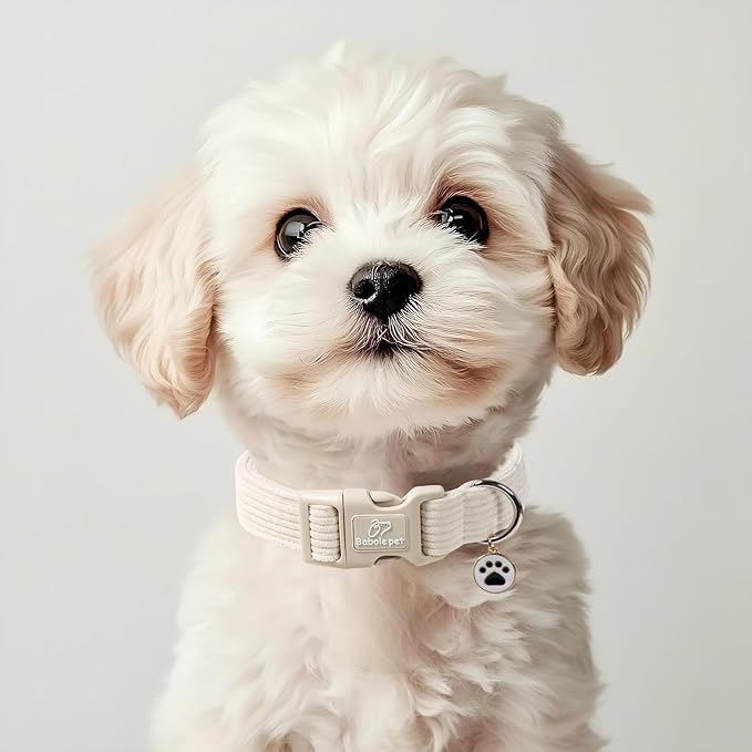 Cute Corduroy Dog Collar - White Adjustable Dog Collars for Small Dogs 10-25lbs, Fade-Proof with Secure Snap & Little Charm, Christmas Birthday Gift, S