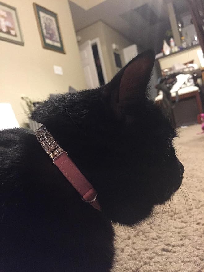 CHUKCHI Soft Velvet Safe Cat Adjustable Collar Bling Diamante with Bells,11 inch for Small Dogs and Cats (Pink)