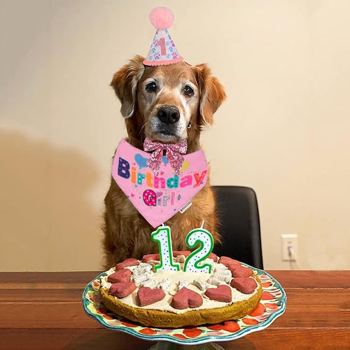 ADOGGYGO Dog Birthday Party Supplies, Pink Girl Dog Birthday Bandana Hat Numbers Bow Set for Medium Large Dogs (Large)