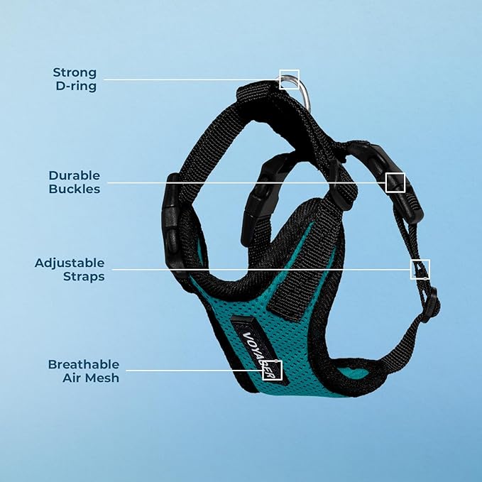 Voyager Step-in Pet Harness - All Weather Mesh, Adjustable Step in Harness for Cats and Dogs by Best Pet Supplies - Turquoise/Black Trim, M
