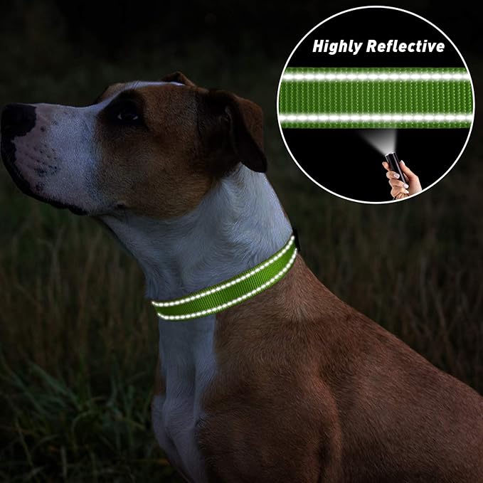 TagME Reflective Nylon Dog Collars, Adjustable Classic Pet Collar with Quick Release Buckle for Large Dogs, Green, 1.0" Width