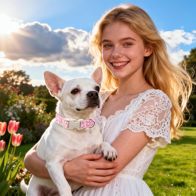 DOGWONG Flower Dog Collar-Daisy Flower Print Girl Dog Collar for Large Cute Dog Collars Spring Female Pet Gift Adjustable Heavy-Duty Soft Collar，XS