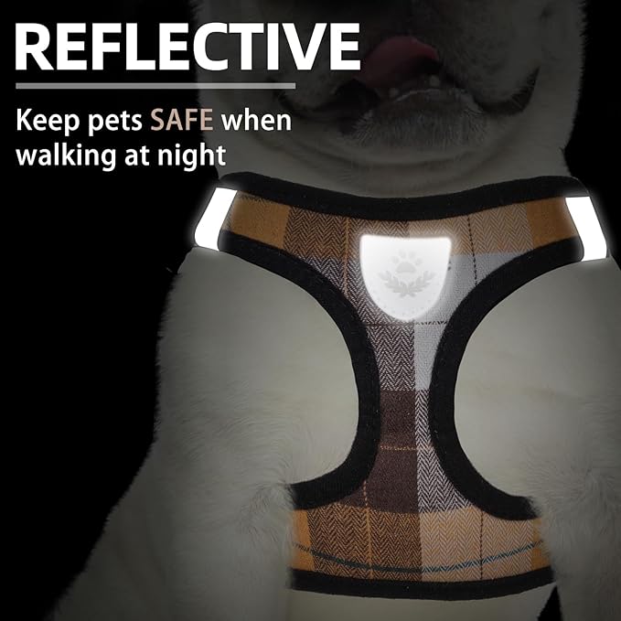 PUPTECK Adjustable Dog Harness Collar and Leash Set Step in No Pull Pet Harness for Small Medium Dogs Puppy and Cats Outdoor Walking Running, Soft Mesh Padded Reflective Vest Harnesses, Orange XL