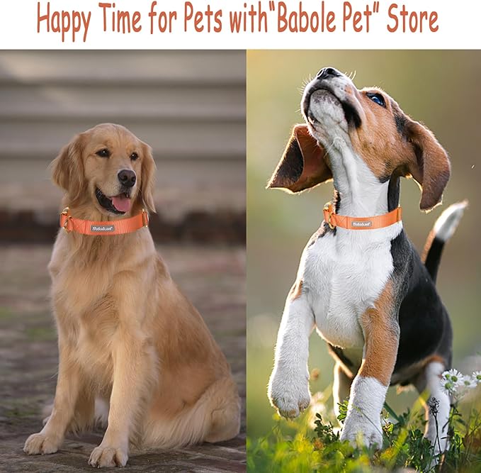 Nylon Dog Collar - Adjustable Orange Soft Webbing Dog Collars for Small Medium Large Dogs Boy Girl Puppy Collar with Safety Metal Buckle XS