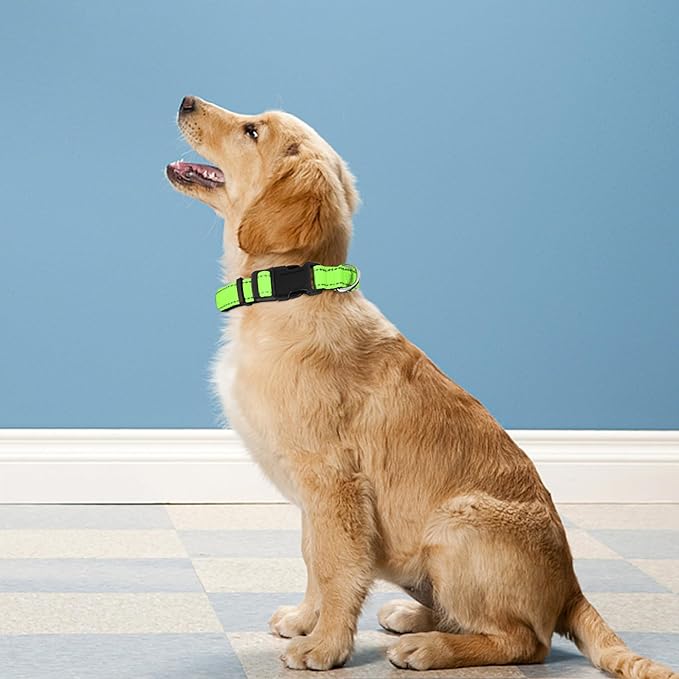 Reflective Dog Collar, Adjustable Soft Neoprene Padded Nylon Pet Collars with Buckle for Small Dogs, Green,S