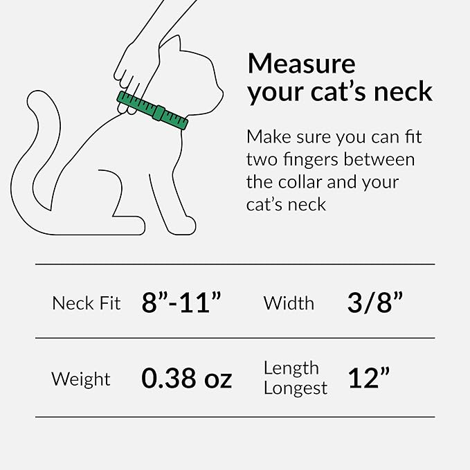 CollarDirect Leather Cat Collar with Bell - Kitten Collar, Small and Big Cat Collar for Boy Cats, Girl Cats with Safety Elastic Strap (Neck Fit 8"-11", White)