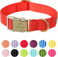 Nylon Dog Collar - Adjustable Red Soft Webbing Dog Collars for Small Medium Large Dogs Boy Girl Puppy Collar with Safety Metal Buckle XL