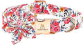Lionheart Glory Floral Dog Collar - Soft, Durable & Adjustable for Small Dogs
