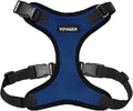 Voyager Step-in Pet Harness - All Weather Mesh, Adjustable Step in Harness for Cats and Dogs by Best Pet Supplies - Royal Blue/Black Trim, S