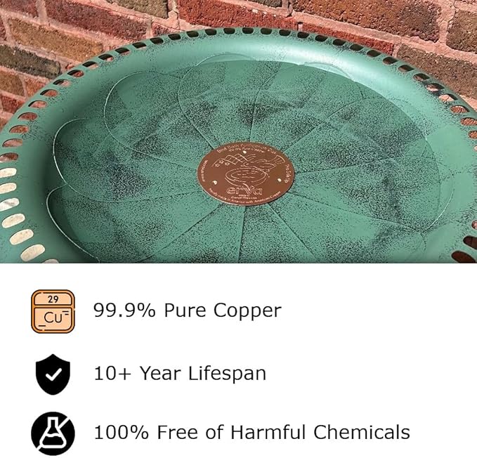 Erva 3-Pack Copper Bird Bath Purification Disk - Made in USA and Maker of The Original - Natural Chemical-Free Bird Bath Purification