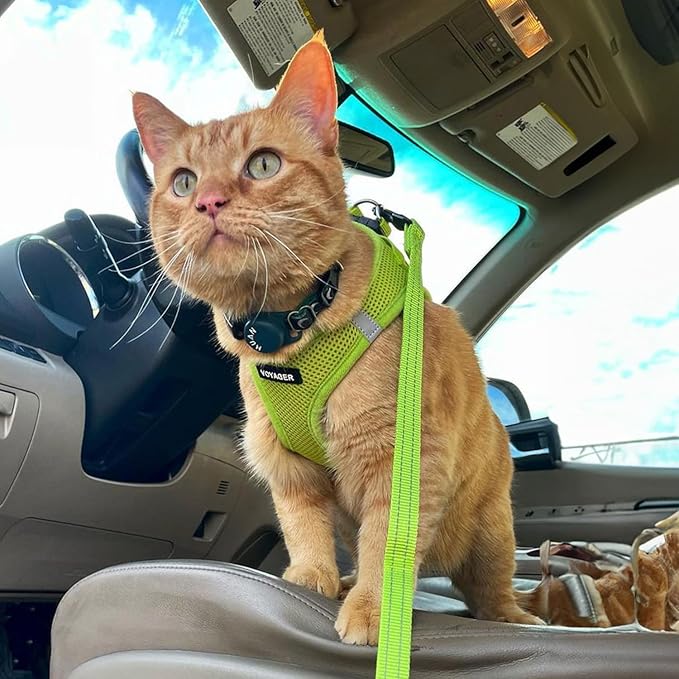 Best Pet Supplies Voyager Step-in Air All Weather Mesh Harness and Reflective Dog 5 ft Leash Combo with Neoprene Handle, for Small, Medium and Large Breed Puppies - Set (Lime Green), XXS