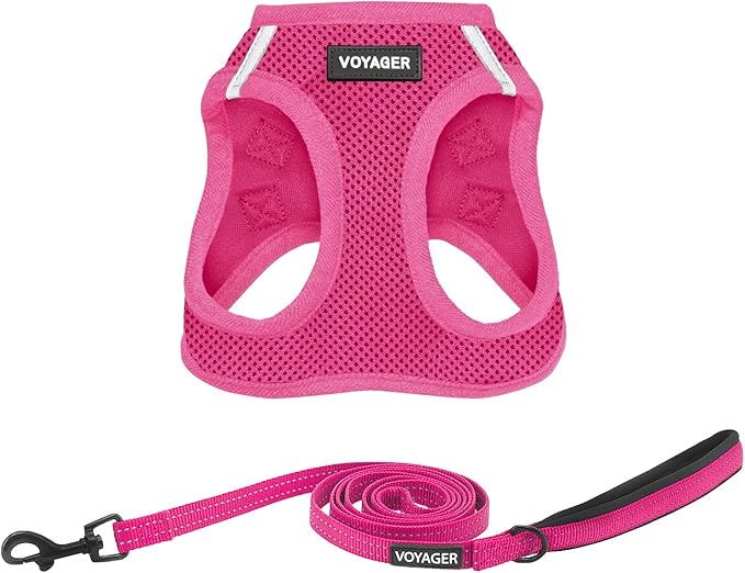Best Pet Supplies Voyager Step-in Air All Weather Mesh Harness and Reflective Dog 5 ft Leash Combo with Neoprene Handle, for Small, Medium and Large Breed Puppies - Set (Fuchsia), XL