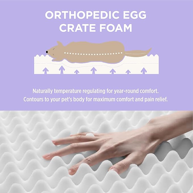 LE SURE Outdoor Waterproof Dog Bed for Extra Large Dogs, Orthopedic Egg Crate Foam Pet Bed with Oxford Fabric Surface and Removable and Durable Cover, Machine Washable, 48''x30'', Black