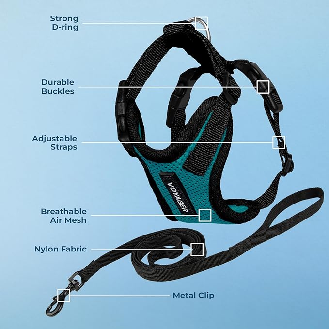 Voyager Escape-Proof Step-in Lock Cat Harness & 5ft Neoprene-Handle Leash Set All-Weather Mesh with Reflective Stitching for Small to Large Cats by Best Pet Supplies, Turquoise/Black Trim, XS