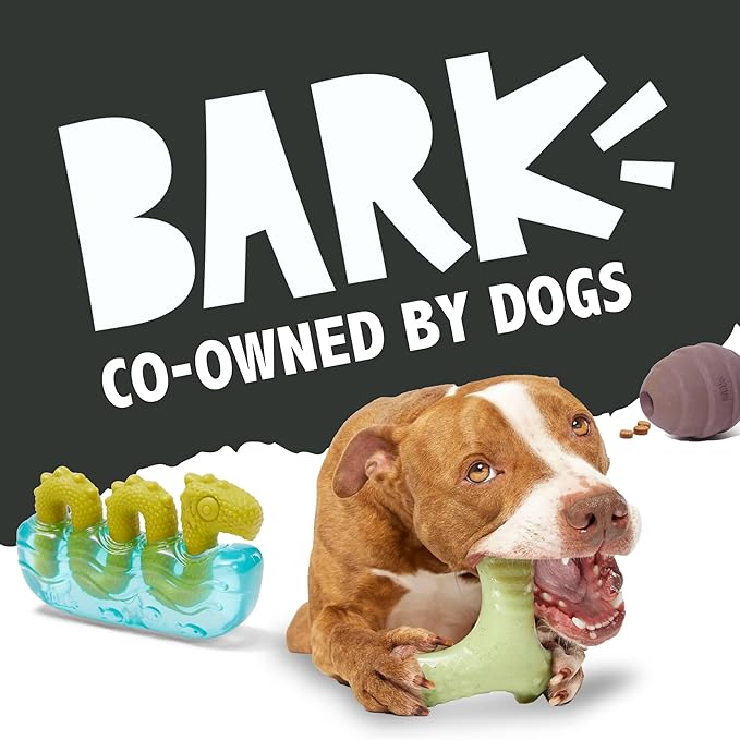 Barkbox Super Chewer Tough Dog Chew Toys for Aggressive Chewers, Dental Stimulating (Turkey - Small)