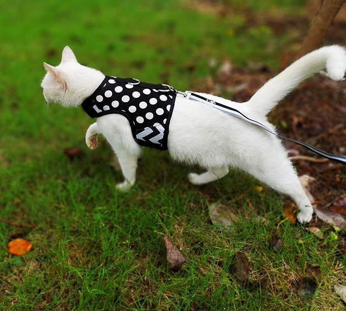 Cat Harness and Leash for Walking Escape Proof, Adjustable Cat Vest Harness, Padded Stylish Cat Walking Jackets, Polka Dot Black, Small