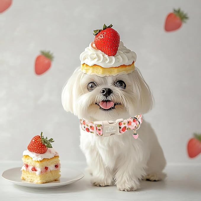 Strawberry Dog Collar for Large Dogs - Cute Spring Pink Dog Collars, Summer Pastel Puppy Collars, Soft Adjustable Boy Girl Dogs Collar with Quick-Release Buckle L