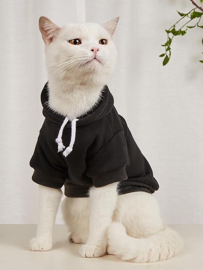 QWINEE Basic Dog Hoodie Sweatshirt Puppy Sweater Warm Cat Costumes Pet Clothes for Chihuahua Puppy Kitten Small Medium Dogs Multicolored Small