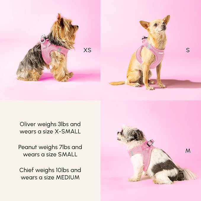 Downtown Pet Supply Step in Dog Harness for Large Dogs - Adjustable, Escape Proof Dog Harness with Reflective Trim - All-Weather, Fast-Drying Padded Mesh Fabric - Baby Pink, XL