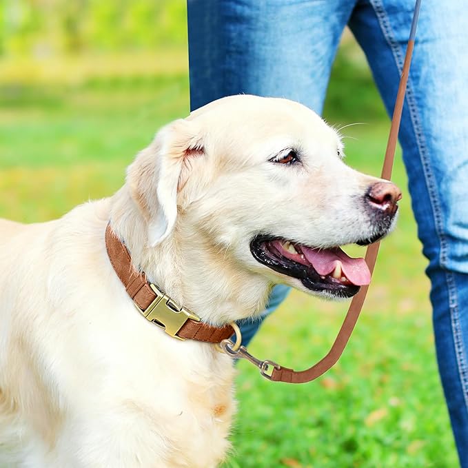 Genuine Leather Dog Collar - Adjustable Pet Collar with Quick Release Metal Buckle, Soft Skin Friendly Real Leather Collar for Small, Medium, Large Dogs (Khaki, S：Fit 8-16" Neck)
