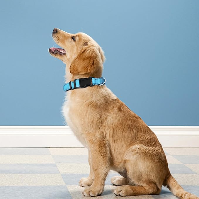 Reflective Dog Collar, Adjustable Soft Neoprene Padded Nylon Pet Collars with Buckle for Medium Dogs, Sky Blue,M