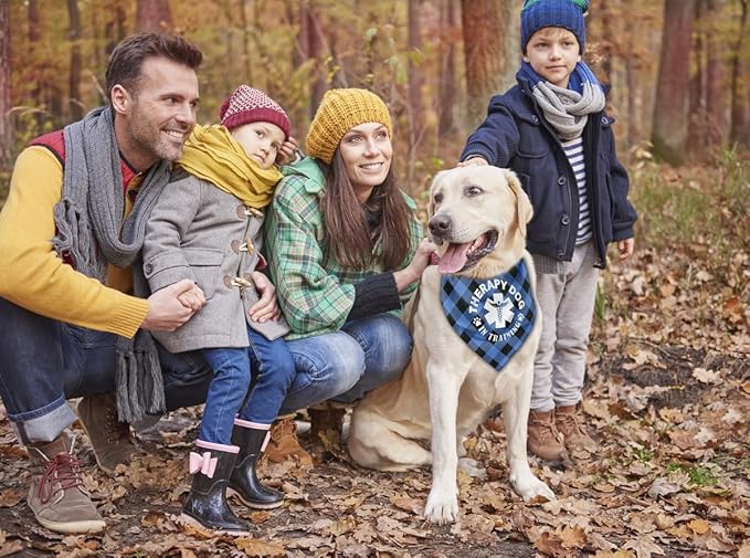 Dog Bandana, Therapy Dog Please Pet Me with, Dogs Scarf Classical Printing, Dogs Scarf Accessories, Doggy Kerchief Pet Kerchief, Christmas Birthday Thanksgiving Doggy Gift A06