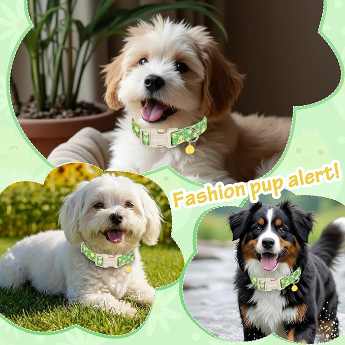 Easter Dog Collar for Small Dogs, Easter & Spring Theme Small Dog Collar with Cute Chick Hatching Pattern, Adjustable Easter Dog Collars Girl Boy Collar for Dogs -S