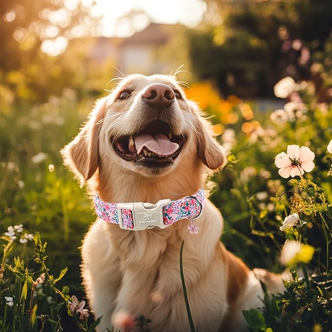 Floral Dog Collar, Cute Girl Dog Collars - Pastel Wildflowers Pattern Spring Summer Puppy Collar, Adjustable Female Dog Collars for Small Medium Large Dogs XS
