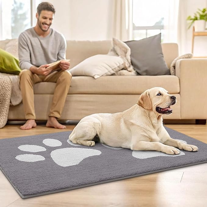 Buganda Dog Door Mat for Muddy Paws, Absorbent Dirt Trapper Washable Indoor Doormats, Non Slip Low-Profile Mud Mat for Dogs, Front Entrance Doormat for Inside Floor (36x24 Inches, Light Grey)
