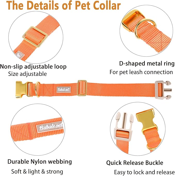 Nylon Dog Collar - Adjustable Orange Soft Webbing Dog Collars for Small Medium Large Dogs Boy Girl Puppy Collar with Safety Metal Buckle XL
