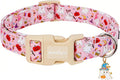 Halloween Dog Collar, Fall Dog Collars for Extra Small Dogs, Cute Pink Puppy Collar with Adorable Ghost & Pumpkin Design, Soft Cotton Extra Small Dog Collars Girl Boy Dog Collar-XS