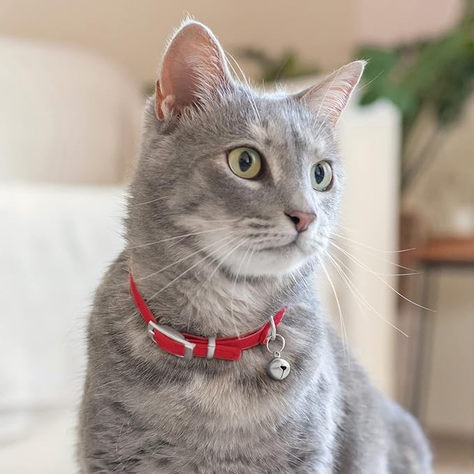 CollarDirect Leather Cat Collar with Bell - Kitten Collar, Small and Big Cat Collar for Boy Cats, Girl Cats with Safety Elastic Strap (Neck Fit 6"-7", Red)