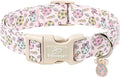 Easter Dog Collar for Puppy Small Dogs - Easter Egg Pastel Dog Collars, Cute Girl Dogs Collar, Lightweight Adjustable Spring Holiaday Dog Collars with Quick Release Buckle XS