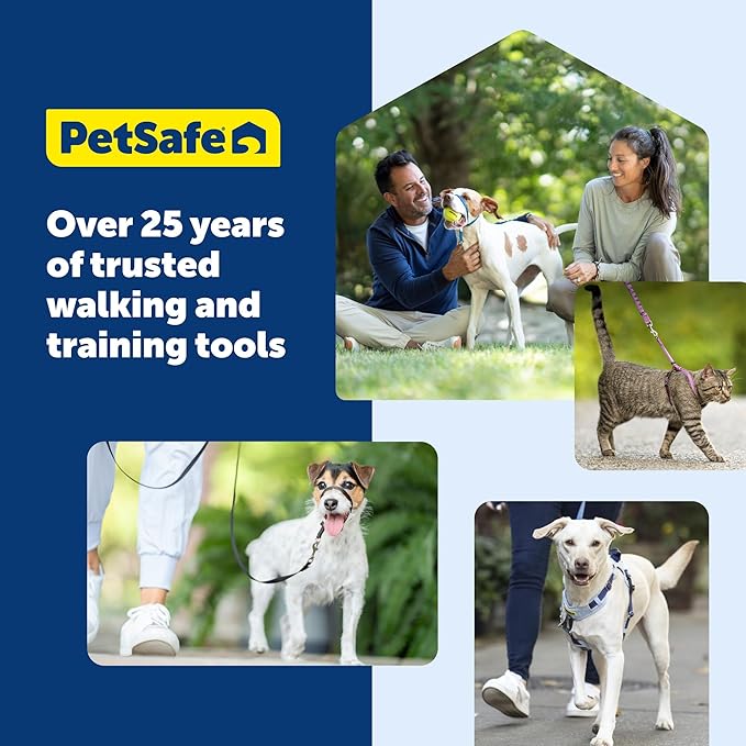 PetSafe KeepSafe Collar for Dogs - Protects Against Collar Accidents - Long Lasting - Durable - Adjustable - Breakaway - Outdoor-Safe - Medium - 3/4 In. Wide - Black