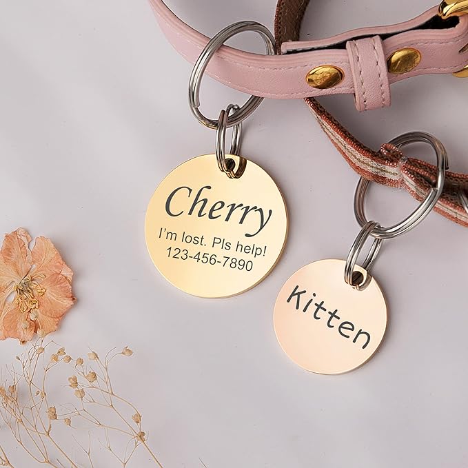 Anavia Personalized Pet ID Tags, Stainless Steel Glossy Laser Engraved Dog Cat Collar Name Tags, Multiple Colors Shapes Sizes (Round, Small)
