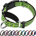 Martingale Dog Collar, Adjustable Nylon Reflective Collar with Buckle No Pull Dog Collar for Small Medium Large Dogs (Lime Green Medium)