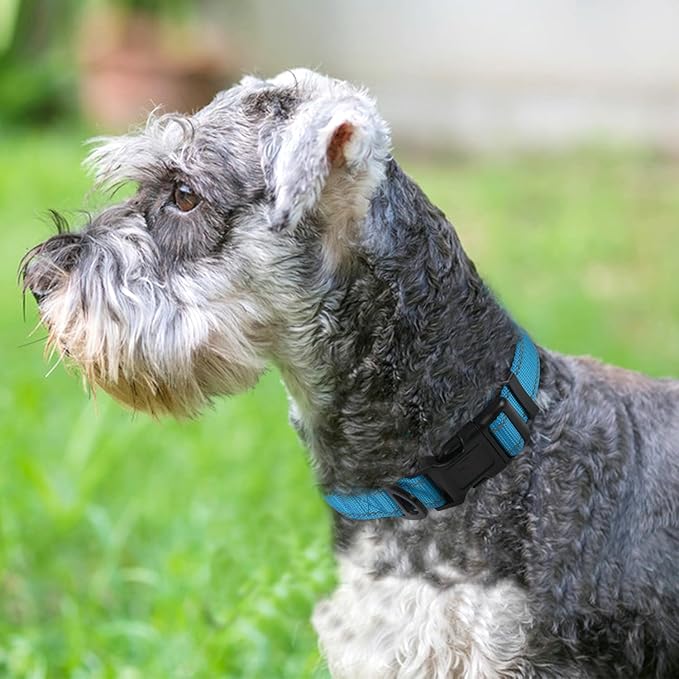 Joytale Reflective Dog Collar, Soft Neoprene Padded, Metal D-Ring, Nylon Pet Collar Adjustable for Small Dogs, Sky Blue, S