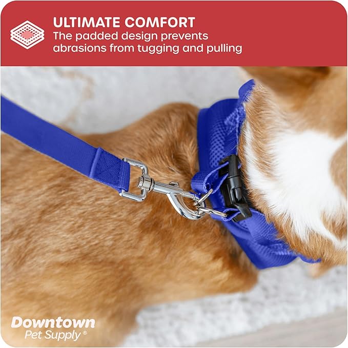 Downtown Pet Supply Step-in Dog Harness – No Pull, Adjustable Padded Mesh with Reflective Trim, Secure Buckle Strap – Comfortable & Breathable Small Dog Harness, Small, Blue