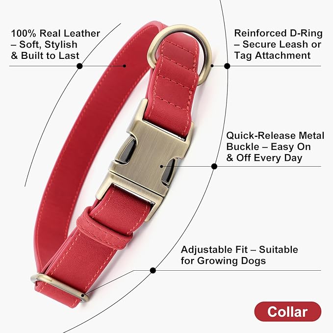 Plutus Pet Genuine Leather Dog Collar – Adjustable Pet Collar with Quick Release Metal Buckle, Soft Real Leather for Small Medium Large Dogs, Heavy Duty & Skin-Friendly (Red, L)