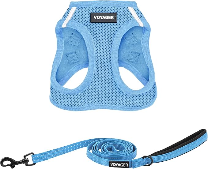 Best Pet Supplies Voyager Step-in Air All Weather Mesh Harness and Reflective Dog 5 ft Leash Combo with Neoprene Handle, for Small, Medium and Large Breed Puppies - Set (Baby Blue), XS