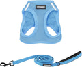 Best Pet Supplies Voyager Step-in Air All Weather Mesh Harness and Reflective Dog 5 ft Leash Combo with Neoprene Handle, for Small, Medium and Large Breed Puppies - Set (Baby Blue), M