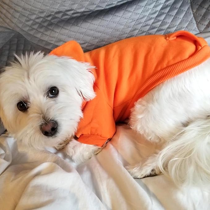Jecikelon Winter Dog Hoodie Sweatshirts with Pockets Warm Dog Clothes for Small Dogs Chihuahua Coat Clothing Puppy Cat Custume (Orange, XX-Small)